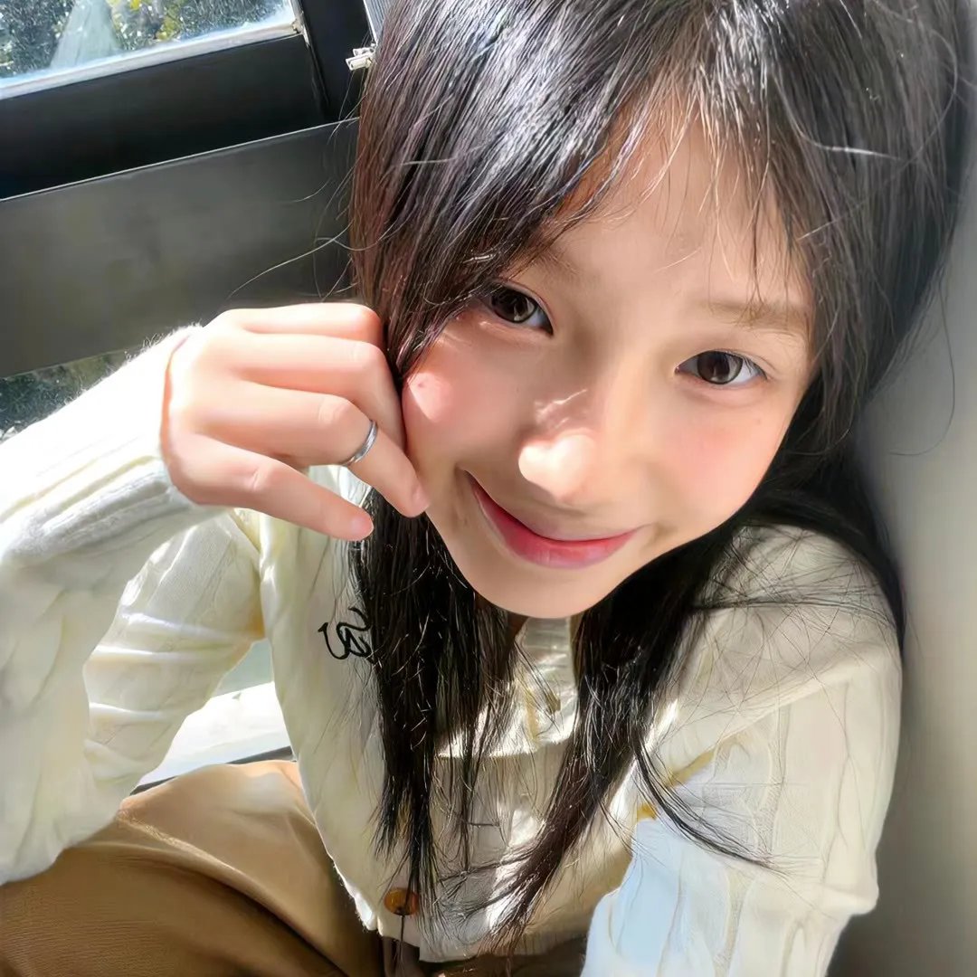 奥迈耶的痴梦 在线观看
