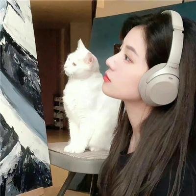 美好的追寻